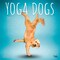 Yoga Dogs OFFICIAL | 2026 12 x 24 Inch (Hanging) Monthly Square Wall Calendar | Plastic-Free | BrownTrout | Animals Humor Pets